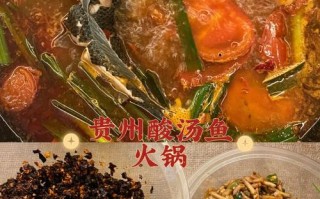 酸汤乌江片片鱼火锅做法（清汤乌江鱼火锅的做法）