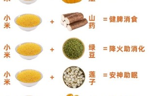 八个月宝宝粥做法大全（8个月宝宝粥谱）