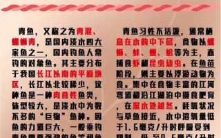 螺丝青鱼的做法大全（螺丝青鱼的做法大全窍门）