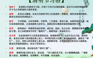 台州白斩鸡做法（白斩鸡做法和配料视频）