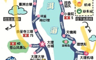 大理洱海酸汤鱼做法视频（大理酸汤鱼图片）