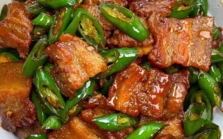 家常小炒肉做法大全（家常小炒肉做法大全窍门）