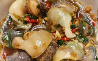 大海螺做法大全家常（大海螺做法大全家常做法视频）