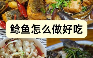 鲶鱼好吃吗（埃及鲶鱼好吃吗）