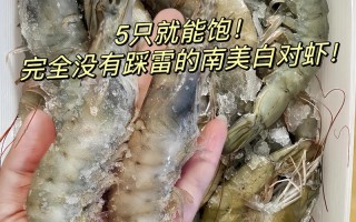 厄尔多白虾怎么做好吃（厄瓜尔多白虾的做法）
