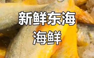 黄花鱼好吃吗（黄花鱼怎么清蒸才好吃）