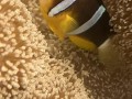 丑眼鱼做法大全（丑眼是什么海鲜）