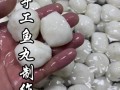 墨鱼丸家常菜做法大全（墨鱼丸家常菜做法大全窍门）
