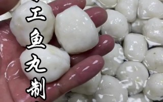 墨鱼丸家常菜做法大全（墨鱼丸家常菜做法大全窍门）
