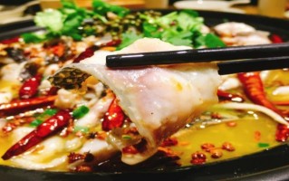 酸汤鱼的做法大全（酸菜鱼的做法 最正宗的做法视频）