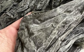 干海带怎么做好吃（请问海带可以生吃吗）