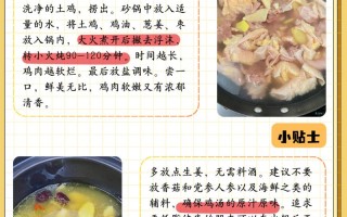 清炖全鸡的家常做法（清炖全鸡怎么炖需要什么材料）