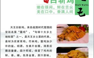 酱油白斩鸡做法（酱油白斩鸡做法视频）