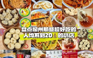 中山酸汤鱼的做法（酸汤鱼视频）