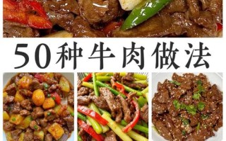 牛牛肉的做法大全（牛肉做法简单好吃）