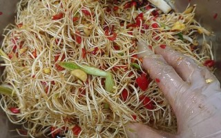 大蒜须怎么做好吃（大蒜须怎么做好吃家常菜）