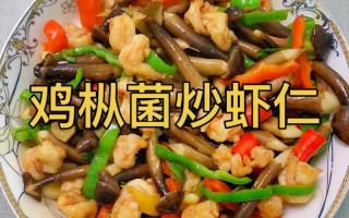 鸡枞菌做法（鸡枞菌做法大全）