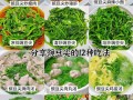 凉拌豆苗的做法大全（凉拌豆苗的做法大全图片）