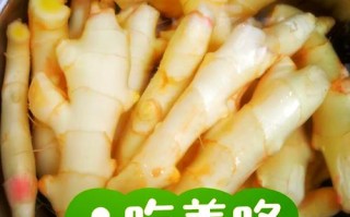 醋泡子姜的正确做法（醋泡子姜醋要煮过吗）