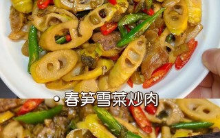 竹笋丝炒肉的做法（竹笋丝炒肉的做法窍门）