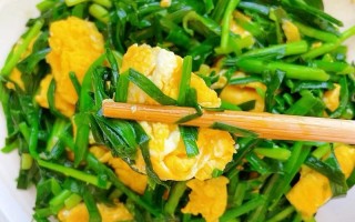 韭菜的家常做法（韭菜炒鸡蛋的家常做法）