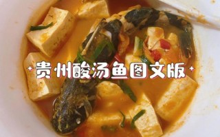 酸汤酸菜鱼的做法（酸菜鱼酸汤鱼）