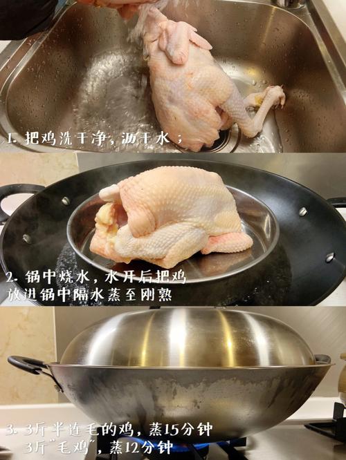 白斩鸡做法.(白斩鸡做法家庭)-第3张图片-窝头美食网 白斩鸡做法.(白斩鸡做法家庭)-第3张图片-窝头美食网