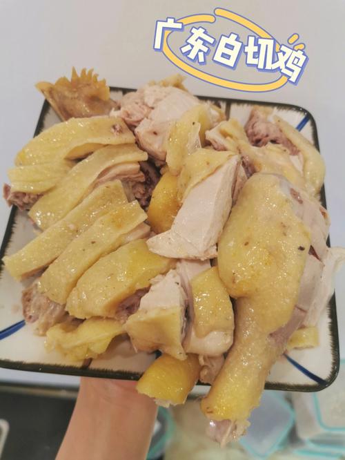 白斩鸡做法（白斩鸡做法?）-第6张图片-窝头美食网