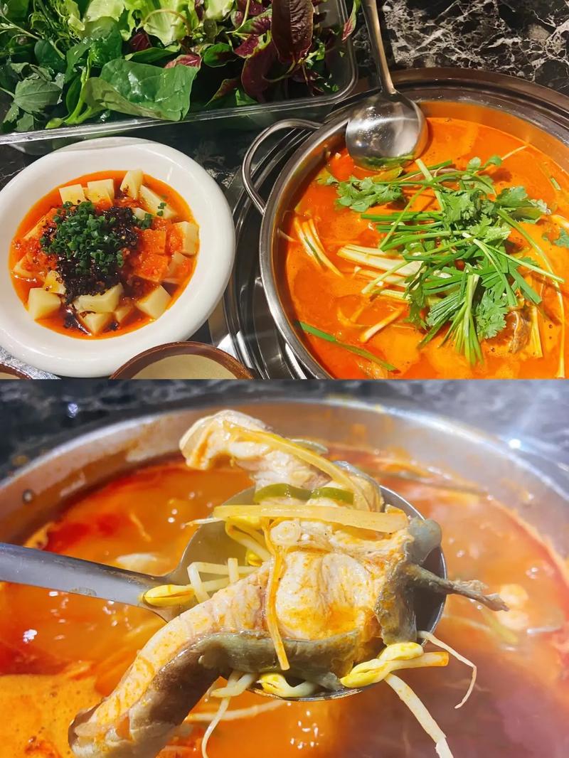 酸汤鱼火锅贵州做法(酸汤鱼 贵州做法)-第4张图片-窝头美食网 酸汤鱼火锅贵州做法(酸汤鱼 贵州做法)-第4张图片-窝头美食网