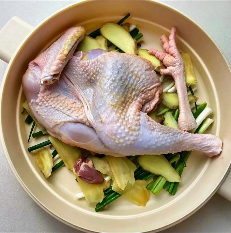 白斩鸡最早做法(白斩鸡怎样做)-第3张图片-窝头美食网 白斩鸡最早做法(白斩鸡怎样做)-第3张图片-窝头美食网