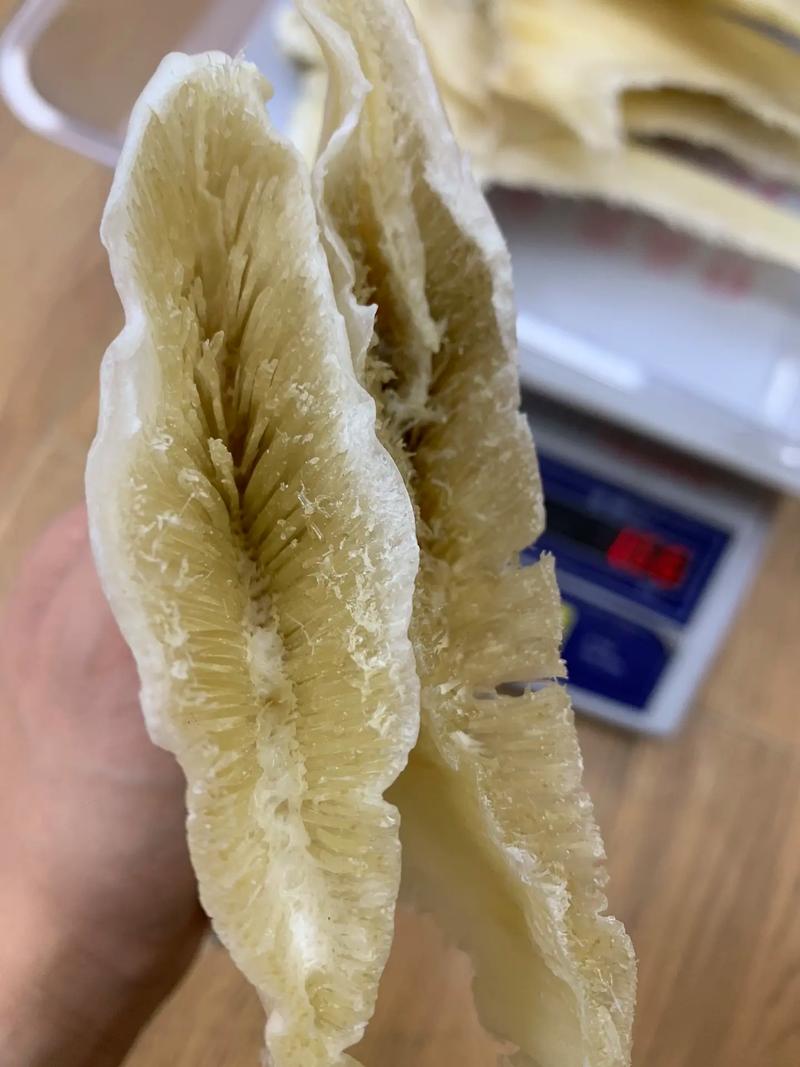 佛跳墙捞饭做法(佛跳墙完整食材)-第1张图片-窝头美食网 佛跳墙捞饭做法(佛跳墙完整食材)-第1张图片-窝头美食网
