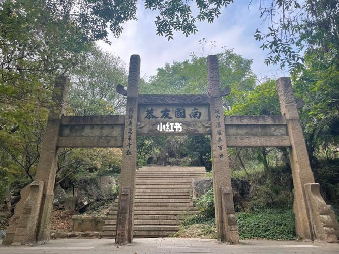 常熟白斩鸡做法（白斩鸡的煮法）-第3张图片-窝头美食网