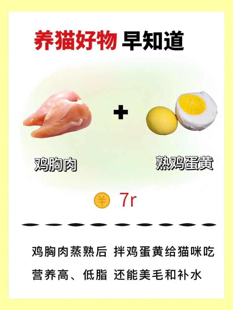 白斩鸡做法面包（白斩鸡弄法）-第1张图片-窝头美食网