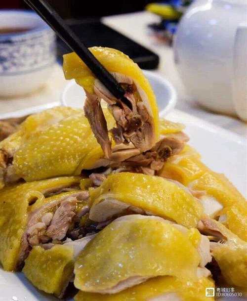 商用白斩鸡做法(商用白斩鸡做法大全)-第5张图片-窝头美食网 商用白斩鸡做法(商用白斩鸡做法大全)-第5张图片-窝头美食网