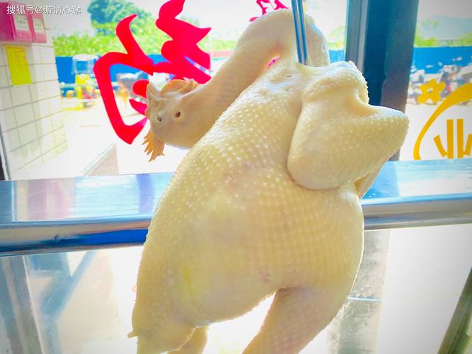 白斩鸡整只做法(白斩鸡整只做法视频)-第5张图片-窝头美食网 白斩鸡整只做法(白斩鸡整只做法视频)-第5张图片-窝头美食网