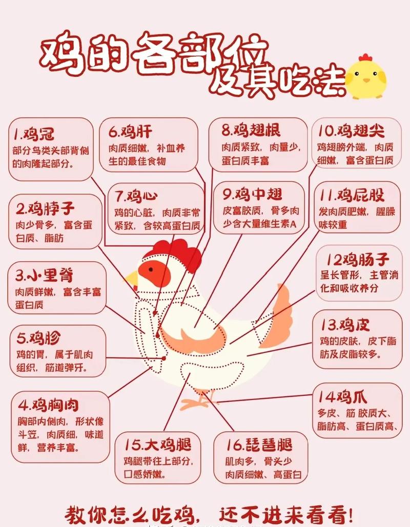 白斩鸡做法山东（白斩鸡的制作过程视频）-第4张图片-窝头美食网