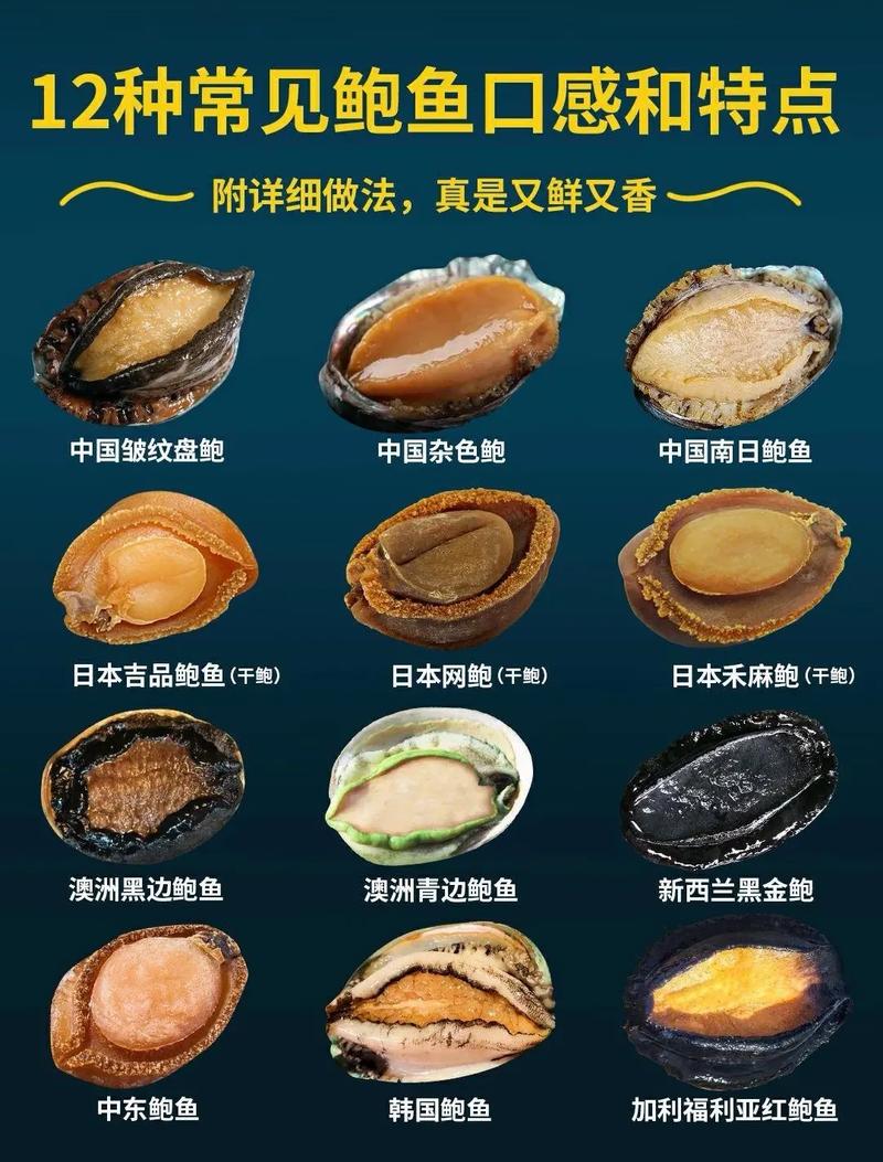 佛跳墙蒜蓉的做法(大厨佛跳墙)-第2张图片-窝头美食网 佛跳墙蒜蓉的做法(大厨佛跳墙)-第2张图片-窝头美食网