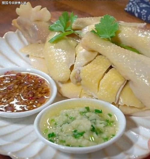 白斩鸡做法酒店(白斩鸡的做法)-第4张图片-窝头美食网 白斩鸡做法酒店(白斩鸡的做法)-第4张图片-窝头美食网