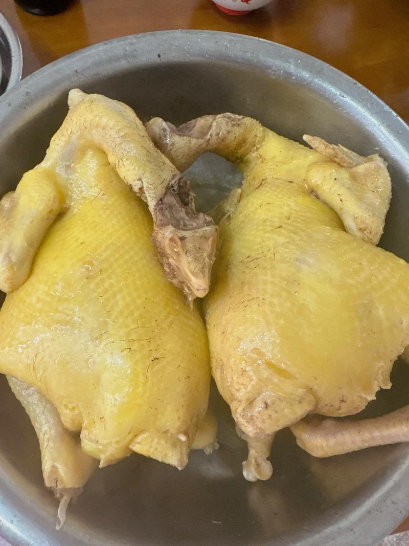 白斩鸡做法酒店(白斩鸡的做法)-第5张图片-窝头美食网 白斩鸡做法酒店(白斩鸡的做法)-第5张图片-窝头美食网
