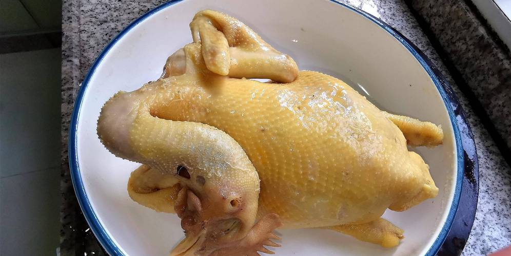 配料白斩鸡做法(白斩鸡的配料做法)-第7张图片-窝头美食网 配料白斩鸡做法(白斩鸡的配料做法)-第7张图片-窝头美食网