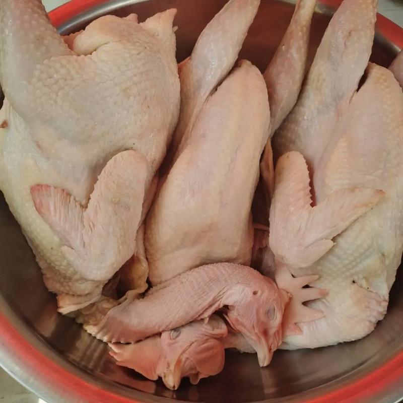 白斩鸡做法陈皮（白斩鸡怎么做皮才脆）-第3张图片-窝头美食网
