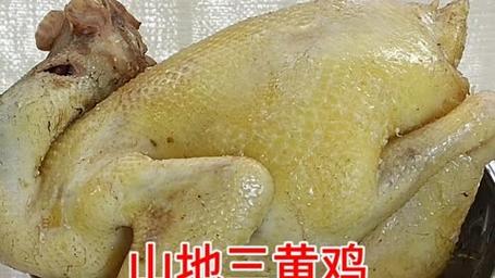 百白斩鸡做法(家庭白斩鸡的做法窍门)-第3张图片-窝头美食网 百白斩鸡做法(家庭白斩鸡的做法窍门)-第3张图片-窝头美食网