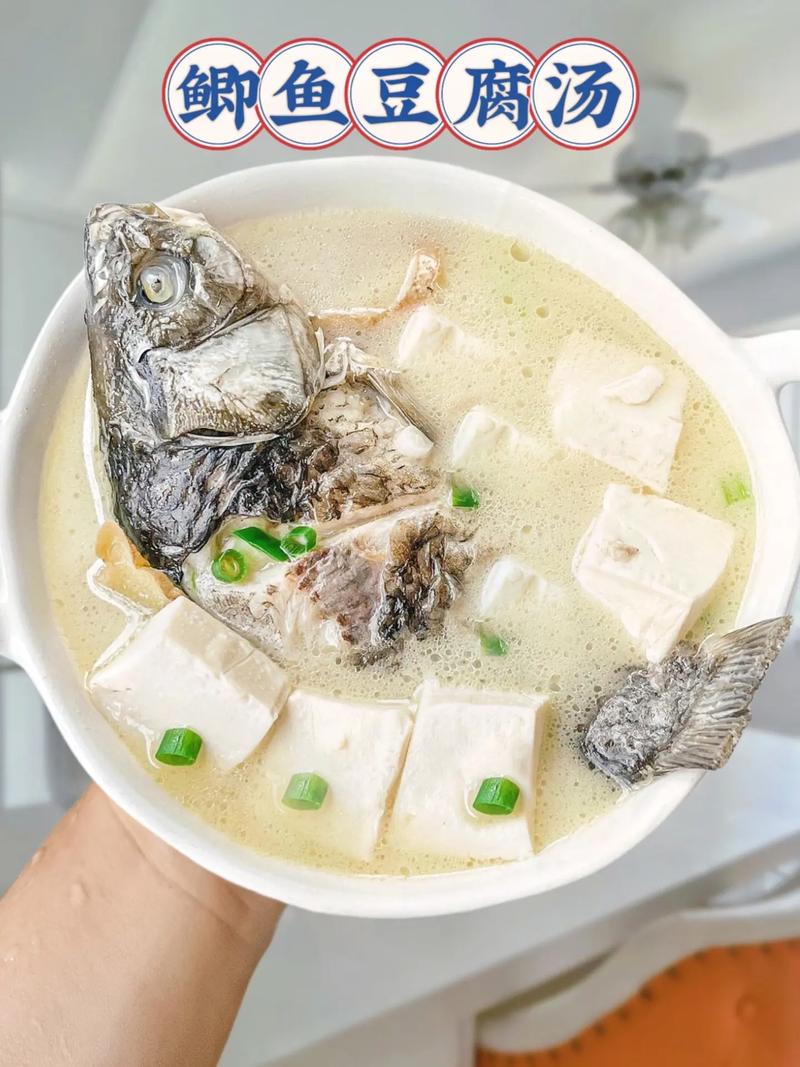 鲤鱼豆腐汤的家常做法(鲤鱼豆腐汤怎么煮)-第1张图片-窝头美食网 鲤鱼豆腐汤的家常做法(鲤鱼豆腐汤怎么煮)-第1张图片-窝头美食网