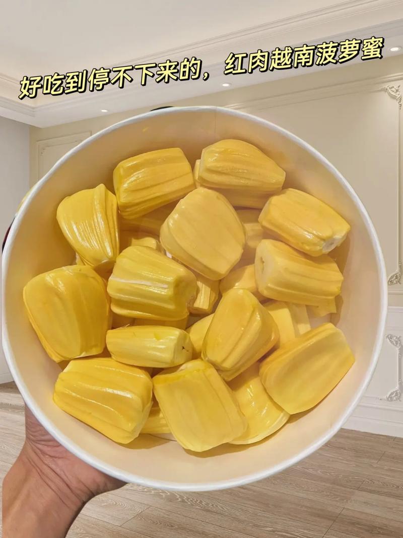 菠萝蜜好吃不(菠萝蜜为何要尽量少吃)-第1张图片-窝头美食网 菠萝蜜好吃不(菠萝蜜为何要尽量少吃)-第1张图片-窝头美食网