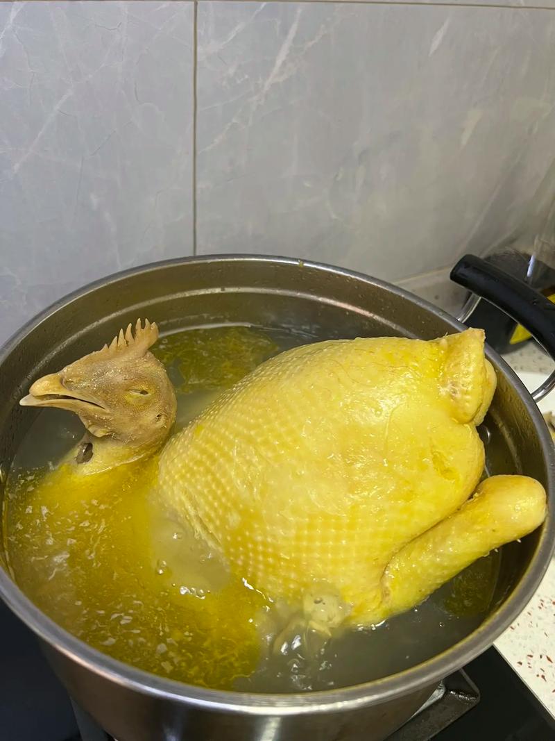 家常白切鸡简单做法(白切鸡简单的做法)-第5张图片-窝头美食网 家常白切鸡简单做法(白切鸡简单的做法)-第5张图片-窝头美食网