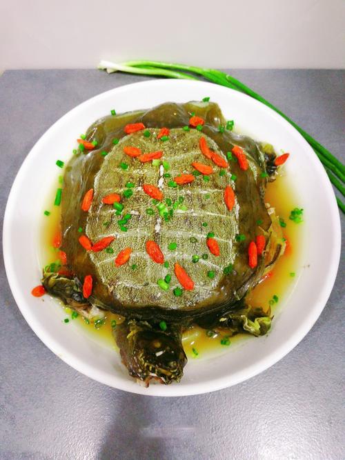 龟肉好吃吗(龟肉有营养吗)-第1张图片-窝头美食网 龟肉好吃吗(龟肉有营养吗)-第1张图片-窝头美食网