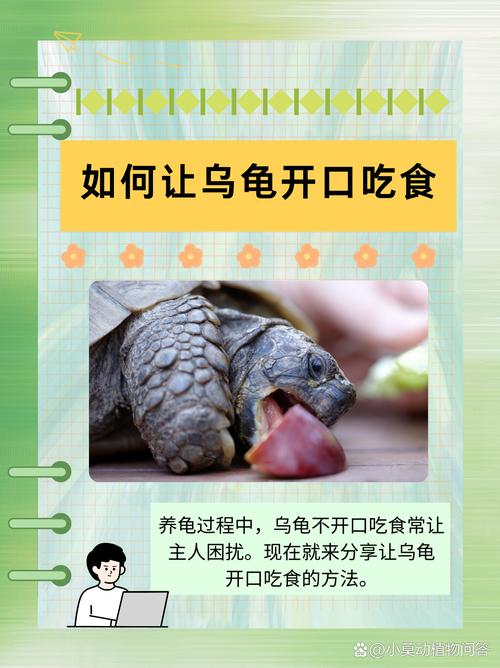 龟肉好吃吗(龟肉有营养吗)-第2张图片-窝头美食网 龟肉好吃吗(龟肉有营养吗)-第2张图片-窝头美食网