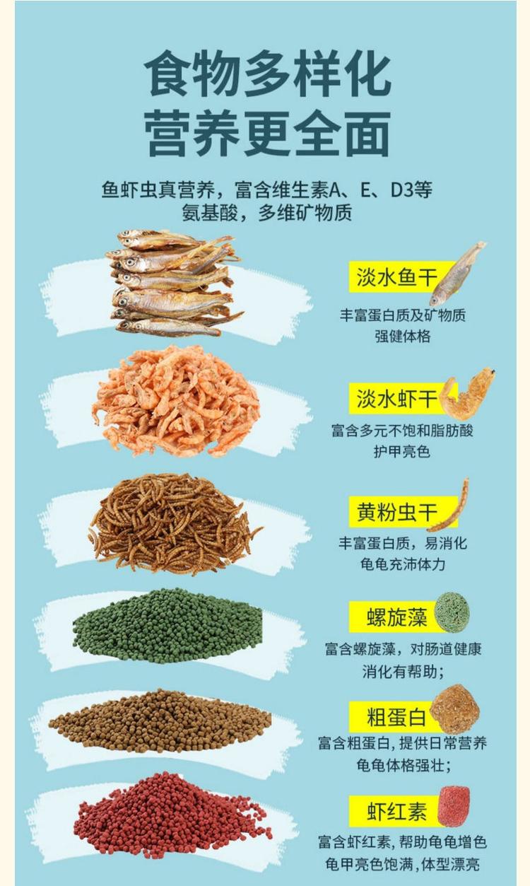 龟肉好吃吗(龟肉有营养吗)-第8张图片-窝头美食网 龟肉好吃吗(龟肉有营养吗)-第8张图片-窝头美食网