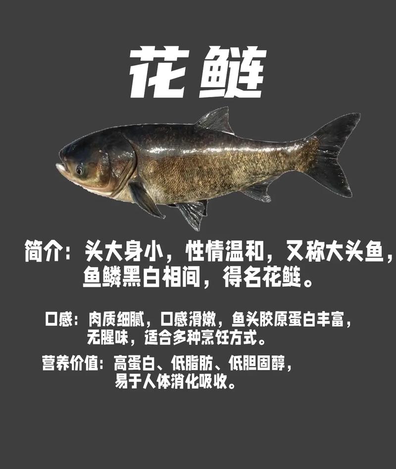 白鲢鱼好吃吗(鲢鱼怎么做好吃)-第3张图片-窝头美食网 白鲢鱼好吃吗(鲢鱼怎么做好吃)-第3张图片-窝头美食网