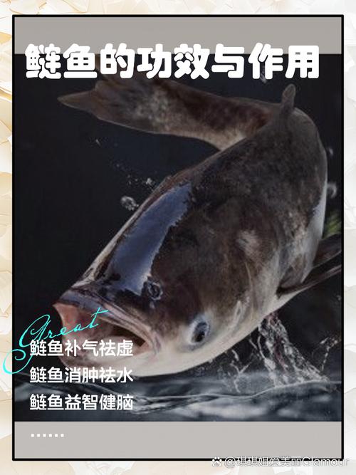白鲢鱼好吃吗(鲢鱼怎么做好吃)-第4张图片-窝头美食网 白鲢鱼好吃吗(鲢鱼怎么做好吃)-第4张图片-窝头美食网